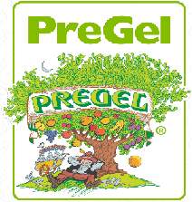 Pregel V1 (1)